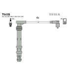 TESLA Zündleitungssatz