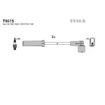 TESLA Zündleitungssatz