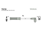 TESLA Zündleitungssatz