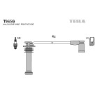 TESLA Zündleitungssatz
