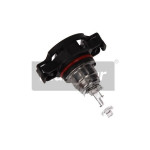 MAXGEAR Glühlampe, Nebelschlussleuchte