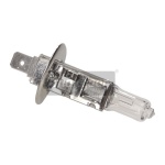 MAXGEAR Glühlampe, Hauptscheinwerfer