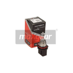 MAXGEAR Glühlampe, Blinkleuchte