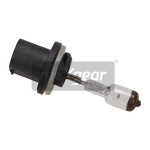 MAXGEAR Glühlampe, Nebelscheinwerfer