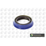 BGA Wellendichtring, Differential
