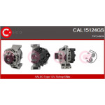 CASCO Generator