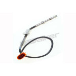VEGAZ Sensor, Abgastemperatur