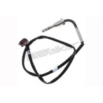 VEGAZ Sensor, Abgastemperatur