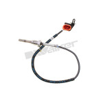VEGAZ Sensor, Abgastemperatur