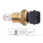 EPS Sensor, Ansauglufttemperatur