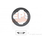 EPS Dichtung, Thermostat
