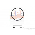 EPS Dichtung, Thermostat