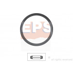 EPS Dichtung, Thermostat