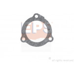 EPS Dichtung, Thermostat