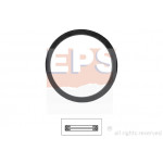 EPS Dichtung, Thermostat