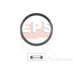 EPS Dichtung, Thermostat