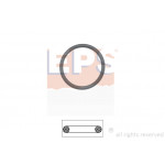 EPS Dichtung, Thermostat