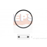 EPS Dichtung, Thermostat