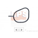 EPS Dichtung, Thermostat