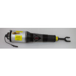 DUNLOP Luftfederbein