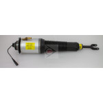 DUNLOP Luftfederbein