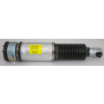 DUNLOP Luftfederbein