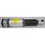 DUNLOP Luftfederbein