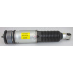 DUNLOP Luftfederbein