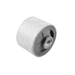 TEDGUM Lagerung, Motor