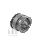 TEDGUM Lagerung, Motor