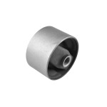 TEDGUM Lagerung, Motor