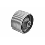 TEDGUM Lagerung, Motor