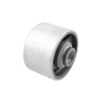 TEDGUM Lagerung, Motor