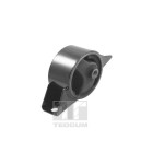 TEDGUM Lagerung, Motor