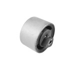 TEDGUM Lagerung, Motor