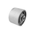 TEDGUM Lagerung, Motor