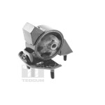 TEDGUM Lagerung, Motor
