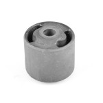 TEDGUM Lagerung, Motor