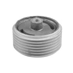 TEDGUM Lagerung, Motor
