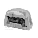 TEDGUM Lagerung, Motor