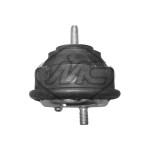 Metalcaucho Lagerung, Motor