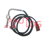 AUTLOG Sensor, Abgastemperatur