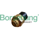 Borsehung Temperaturschalter, Kühlerlüfter