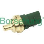 Borsehung Sensor, Kühlmitteltemperatur