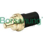 Borsehung Sensor, Kühlmitteltemperatur