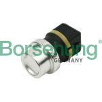 Borsehung Sensor, Kühlmitteltemperatur