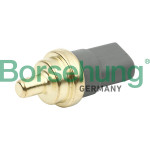 Borsehung Sensor, Kühlmitteltemperatur