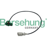 Borsehung Impulsgeber, Kurbelwelle