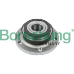 Borsehung Radlager