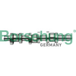 Borsehung Nockenwelle